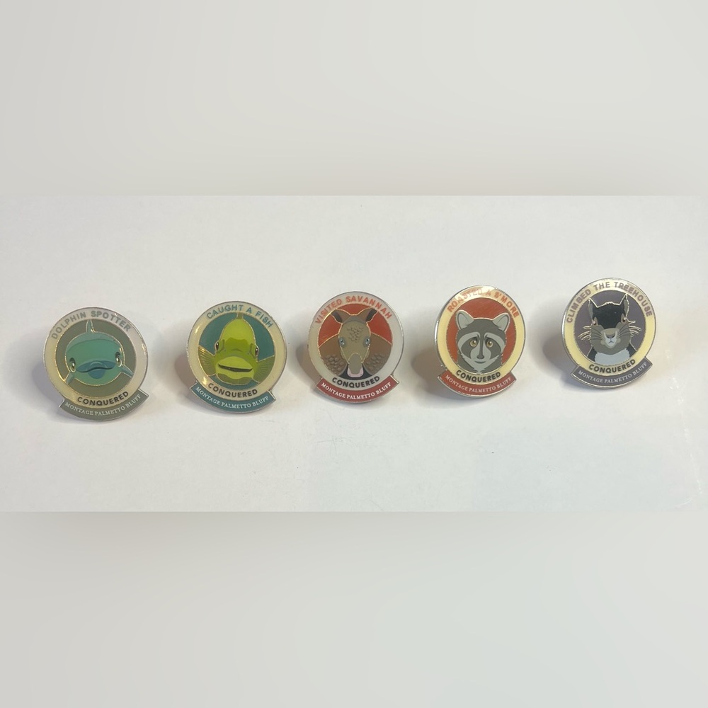 Montage merit badge 5 pins and lanyard